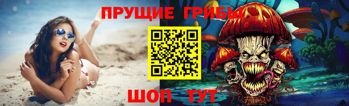 Усть-Джегута  Псилоцибиновые грибы Psilocybine cubensis  Вход с VPN 